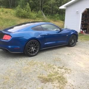 Meet your Posher, Lawrence